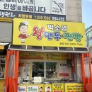 왕왕만두 | 전화 예약 필수! 광주 운암동 박소영왕만두 내돈내산 후기