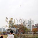 한강시민공원 농구장