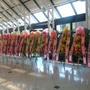 오티 Daum카페
