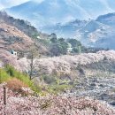 돌산읍 하동마을 경로당 이미지