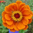 남도마당 이미지