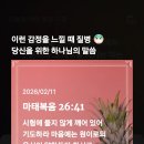 와트커피