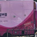 빠리함박 이미지