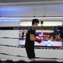 펀치라인복싱 이미지