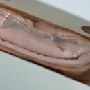 은성세탁기계 | 장거리외출필수품 나몰래 요실금팬티 선물용으로 추천드려요 :)