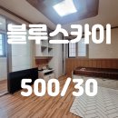 블루스카이공인중개사사무소 이미지