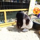 초원목장2 이미지