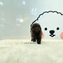 귀여몽