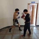 쌍룡복싱체육관 이미지