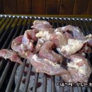 서래갈매기 이미지