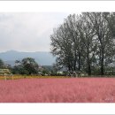 다래뜰 목장 이미지