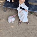 <b>민스샵</b>원피스 추천 복덩이밴딩멜빵원피스