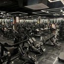 울프피트니스 이미지