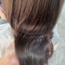 미르헤어 이미지