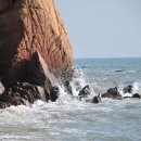 봄의기운 이미지