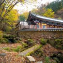 삶 - 관조 | 앞산의 심장부에 새겨진 위안의 시간: 안일사(대구), 무상한 세월을 관조하는 고요한 거처