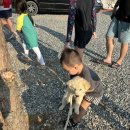 엘모로양평 | 양평캠핑장 엘모로캠핑파크 소개 명당 사이트 추천