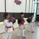 하나태권도장 이미지