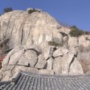 금생농장 이미지