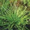 곡정초등학교 이미지