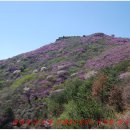 영취산(靈鷲山)＜주제 : 인간과 자연이 함께하는 축제＞ 이미지