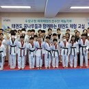 최강국가대표태권도 이미지