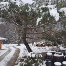 개울건너집 민박 이미지