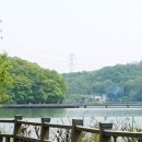 반월호수둘레길 화장실 네이버블로그