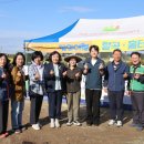 정왕초등학교 이미지