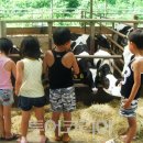 현재목장 이미지