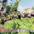 이문현농장 네이버블로그