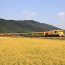 하나로카 이미지