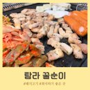 탐라 꿀순이 이미지