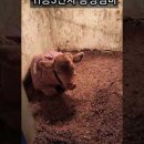 갱이농장 이미지