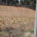 토지식당 이미지