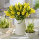 (봄맞이) 홈가드닝 이미지