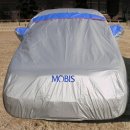 오토렉스 이미지