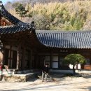 장춘사 5층석탑 이미지