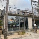 봉황성인PC 이미지