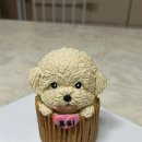 멍멍미식회 이미지