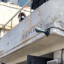 수원-0120 이미지