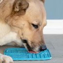 우리 강아지 이미지