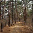 울진우체국 이미지