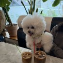 굿모닝스파 네이버블로그