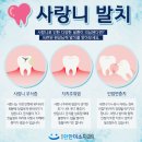 건강한치아건치과의원 이미지