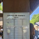 하늘목장 | 평창 아이랑 가볼만한곳 대관령 하늘목장 트랙터 후기