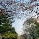 학운공원 쪽 이미지