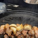 금고기비스트로신촌