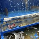 가락시장역 1번출구 | 가락시장 수산시장. [남원씨푸드] 가락시장 대하 1kg 시세 및 먹고 간 후기. 가락시장 대하시세