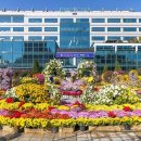 구청 남측광장 이미지